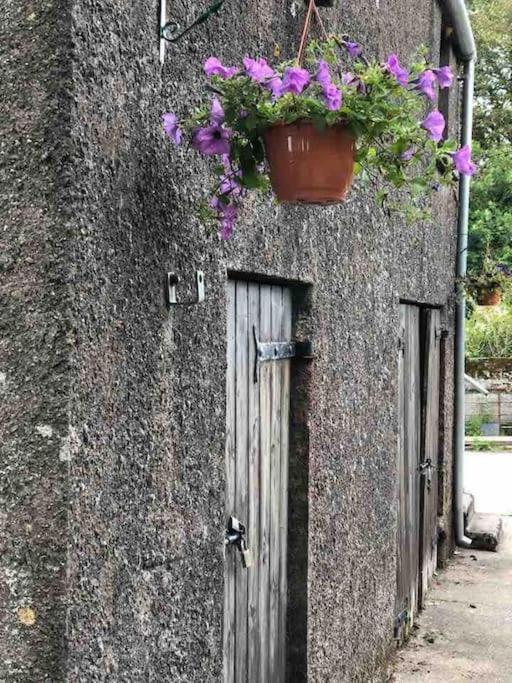 Apartamento Lucy'S Loft Cork Exterior foto